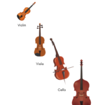 Understanding the Basics of the String Family