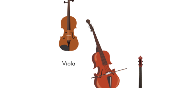 Understanding the Basics of the String Family